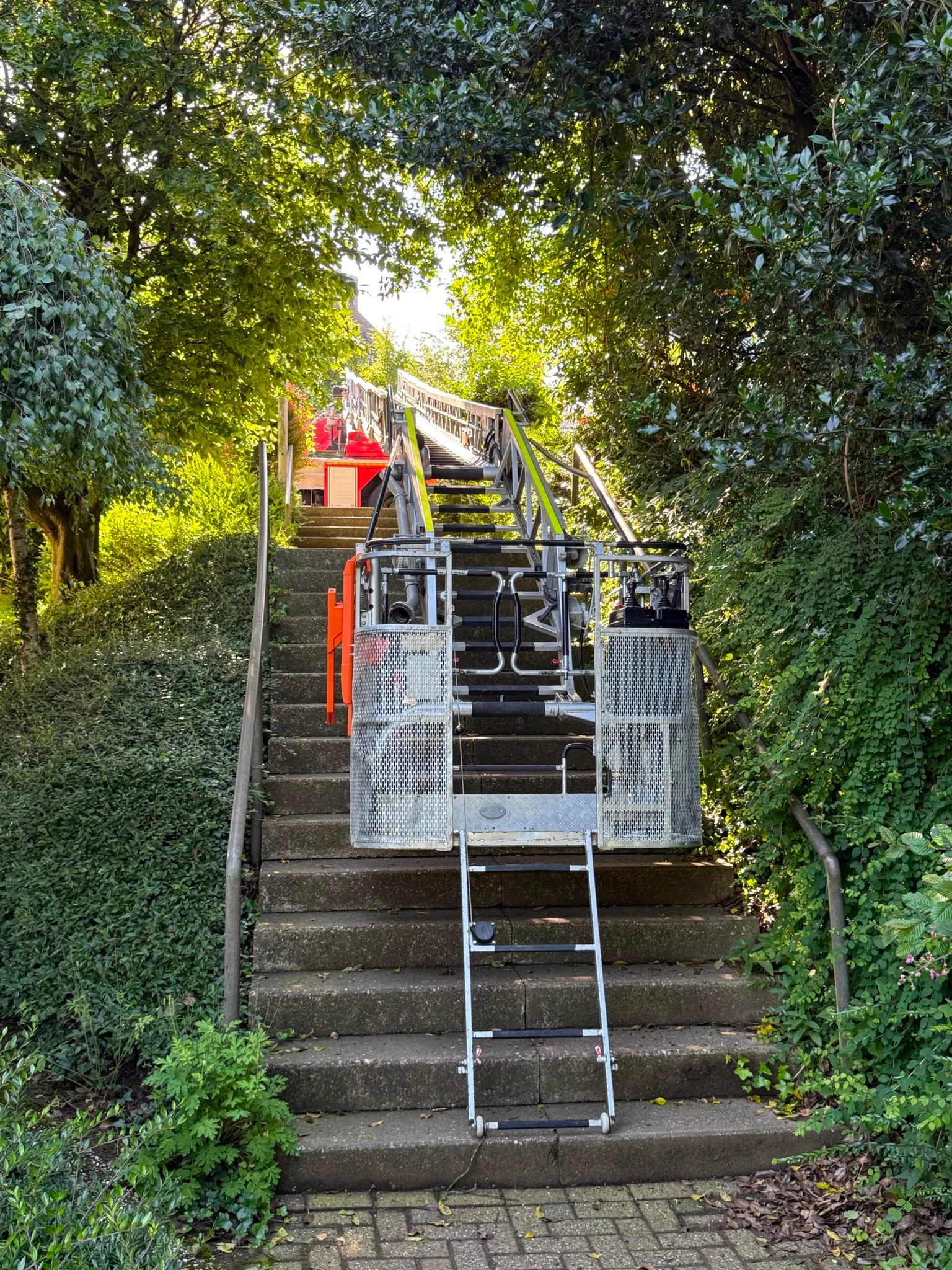 Baumdienst im Einsatz – JS Dienstleistungen GmbH