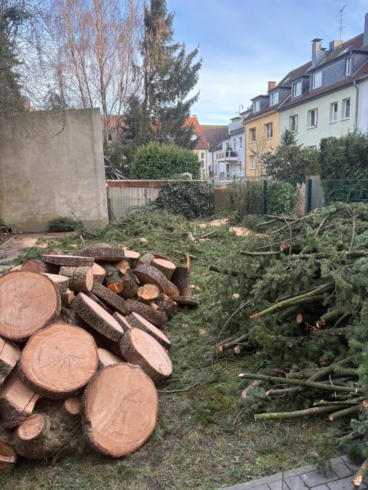 Baumdienst im Einsatz – JS Dienstleistungen GmbH