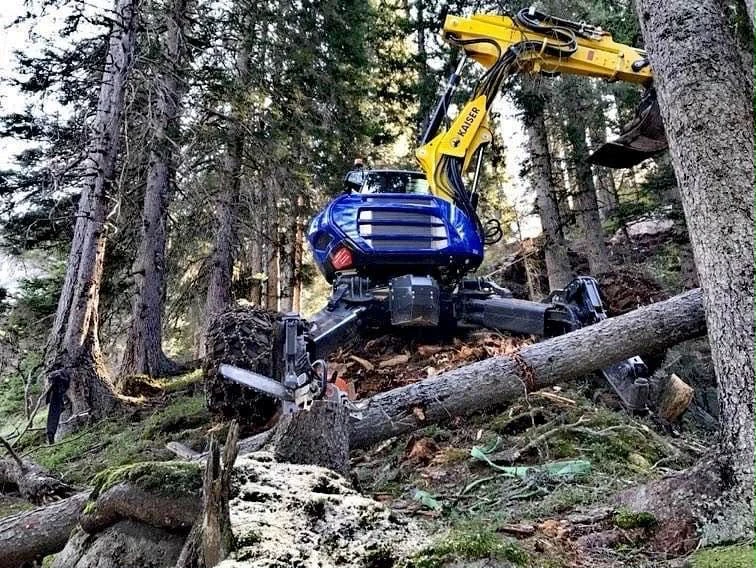 Baumdienst im Einsatz – JS Dienstleistungen GmbH
